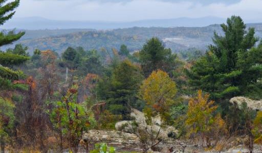 Watatic Mountain State Wildlife Area